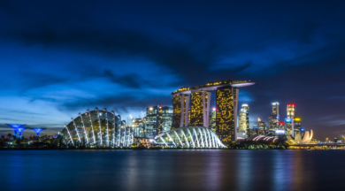 Dr. Parker Presents at World Congress of Dermatology in Singapore